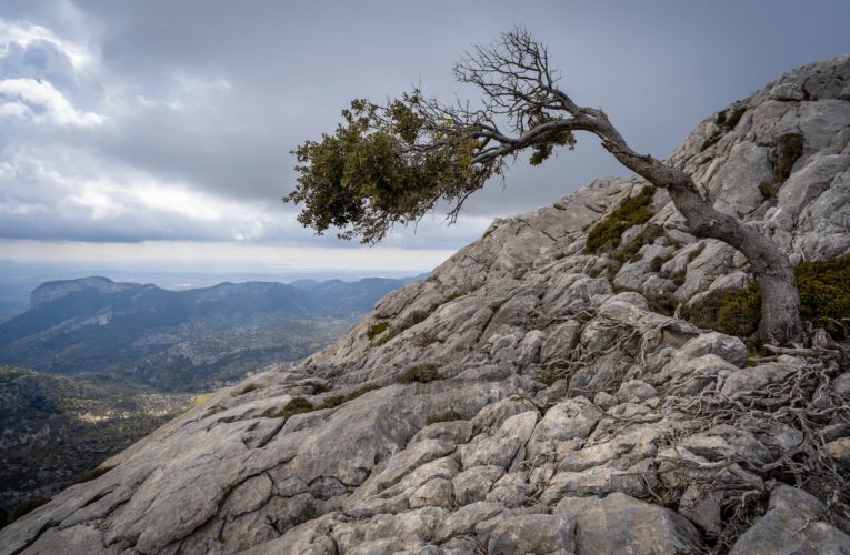 Beaumont: The Importance of Resilience in Overcoming Trauma